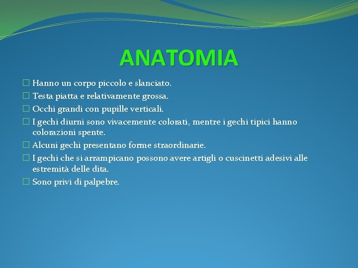 ANATOMIA � Hanno un corpo piccolo e slanciato. � Testa piatta e relativamente grossa.