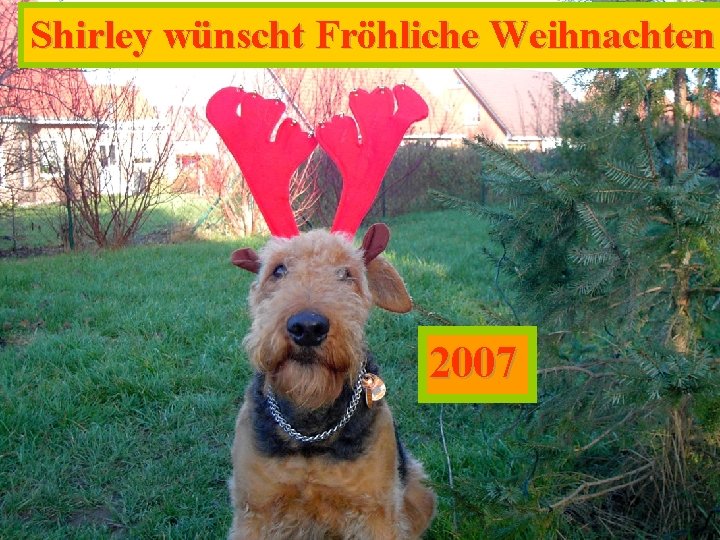 Shirley wünscht Fröhliche Weihnachten 2007 