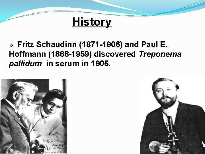 History Fritz Schaudinn (1871 -1906) and Paul E. Hoffmann (1868 -1959) discovered Treponema pallidum