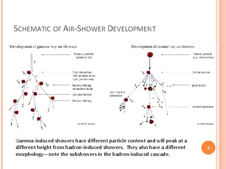 SCHEMATIC OF AIR-SHOWER DEVELOPMENT Gamma-induced showers have different particle content and will peak at SCHEMATIC OF AIR-SHOWER DEVELOPMENT Gamma-induced showers have different particle content and will peak at