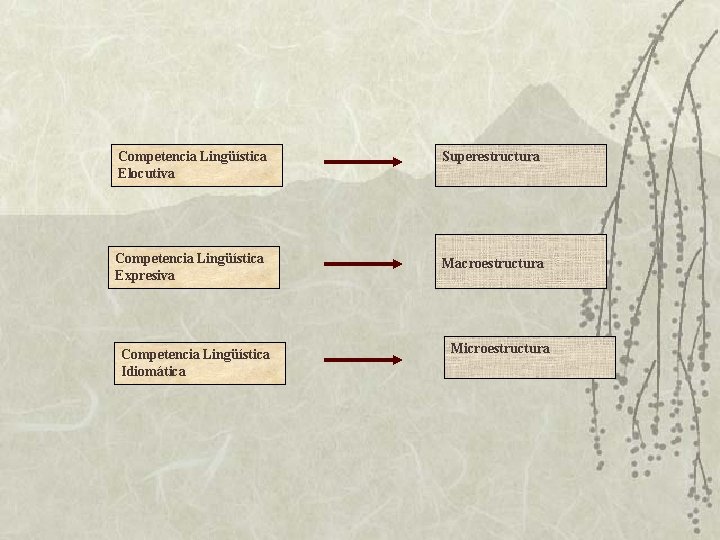 Competencia Lingüística Elocutiva Superestructura Competencia Lingüística Expresiva Macroestructura Competencia Lingüística Idiomática Microestructura 