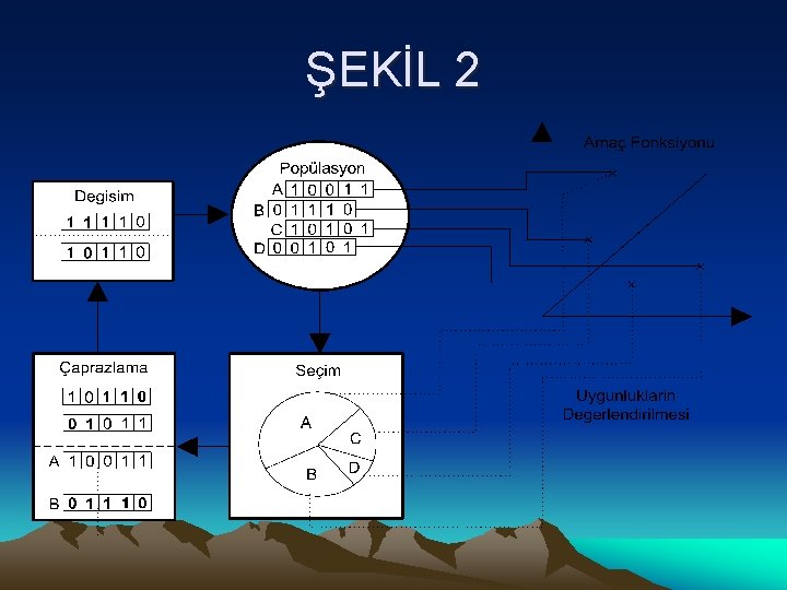 ŞEKİL 2 