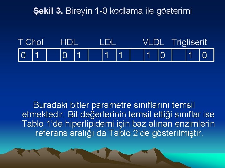 Şekil 3. Bireyin 1 -0 kodlama ile gösterimi T. Chol 0 1 HDL 0