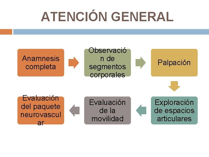 ATENCIÓN GENERAL Anamnesis completa Observació n de segmentos corporales Palpación Evaluación del paquete neurovascul