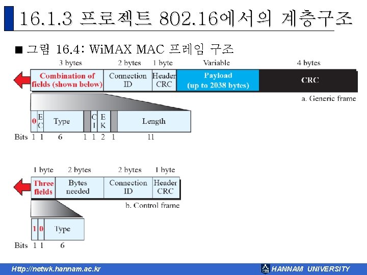 16. 1. 3 프로젝트 802. 16에서의 계층구조 < 그림 16. 4: Wi. MAX MAC