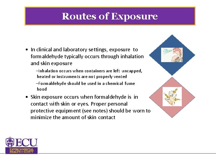 Routes of Exposure • In clinical and laboratory settings, exposure to formaldehyde typically occurs