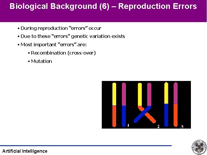 Biological Background (6) – Reproduction Errors • During reproduction “errors” occur • Due to