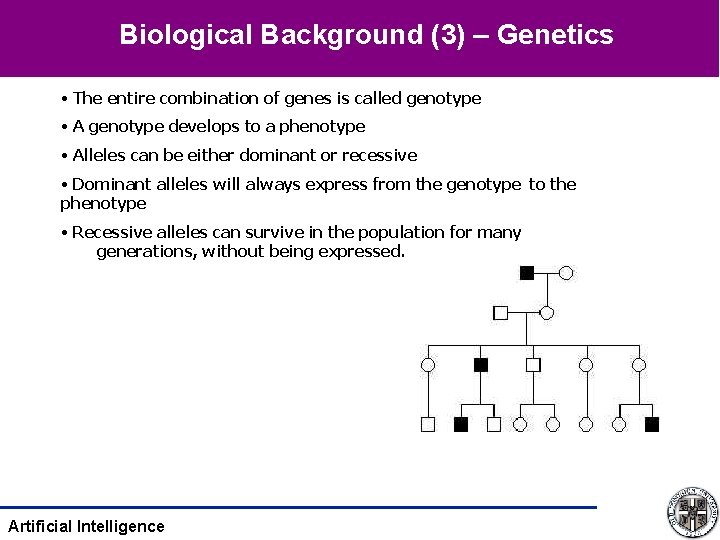 Biological Background (3) – Genetics • The entire combination of genes is called genotype