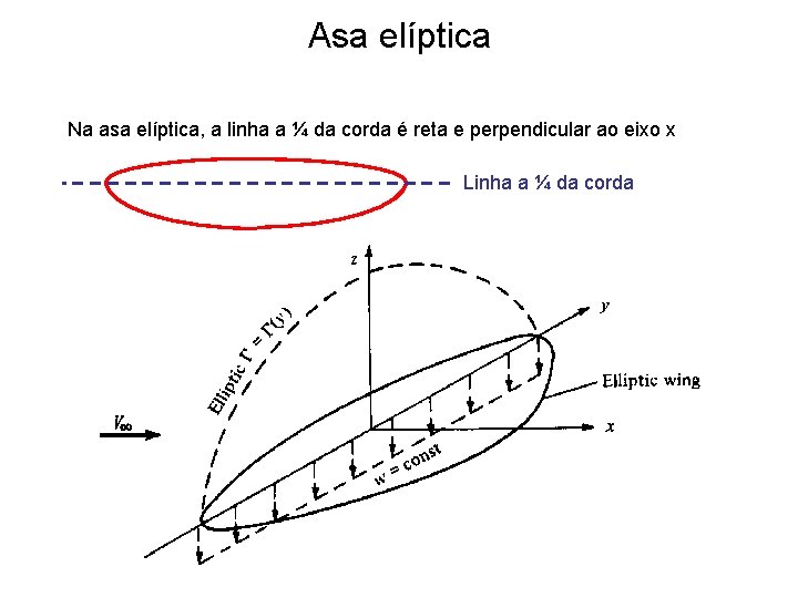 Asa elíptica Na asa elíptica, a linha a ¼ da corda é reta e