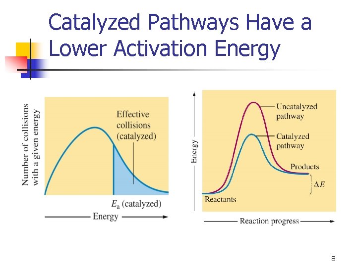 Catalyzed Pathways Have a Lower Activation Energy 8 