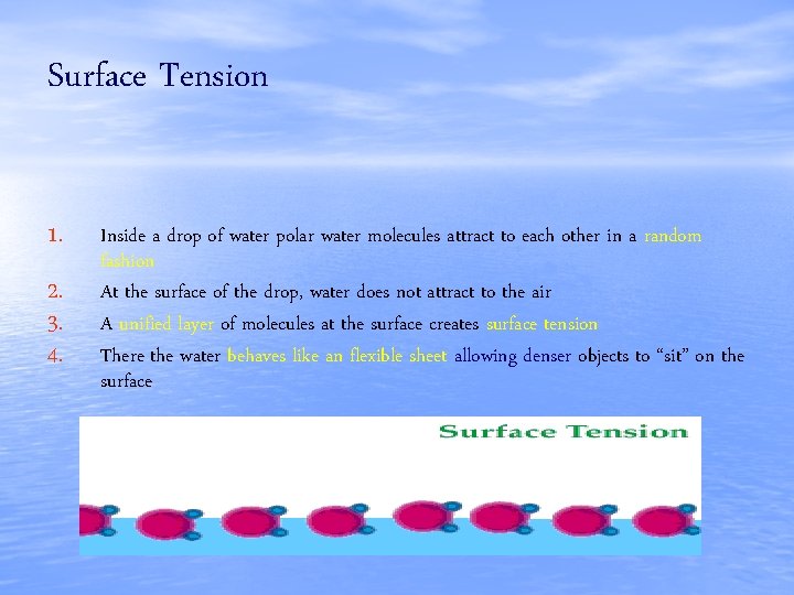 Surface Tension 1. 2. 3. 4. Inside a drop of water polar water molecules