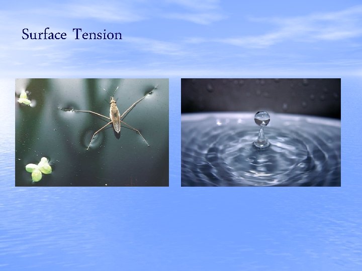 Surface Tension 