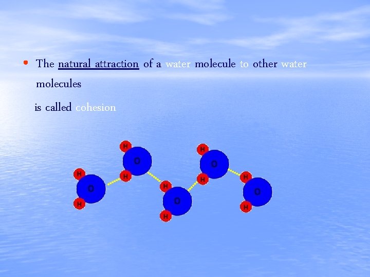  • The natural attraction of a water molecule to other water molecules is