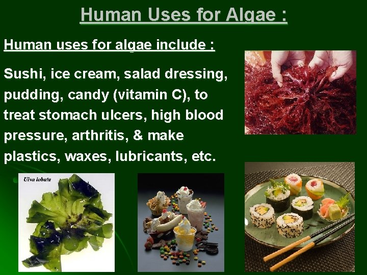 Human Uses for Algae : Human uses for algae include : Sushi, ice cream,