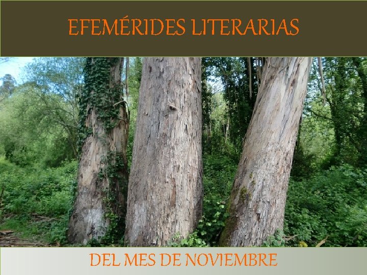 EFEMÉRIDES LITERARIAS DEL MES DE NOVIEMBRE 