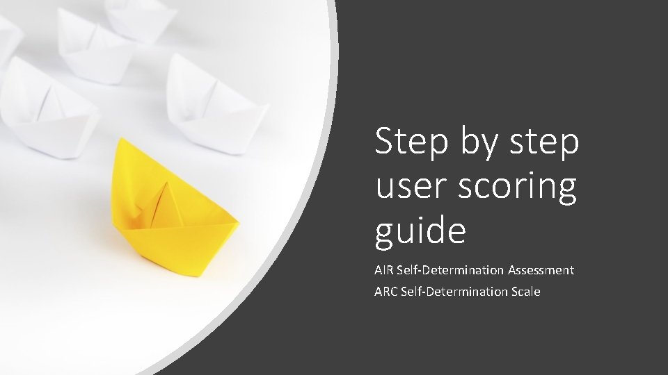 Step by step user scoring guide AIR Self-Determination Assessment ARC Self-Determination Scale 