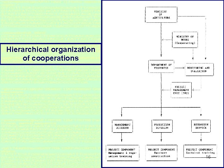 Hierarchical organization of cooperations 16 