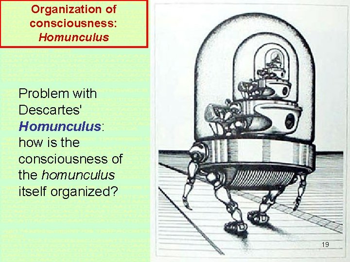 Organization of consciousness: Homunculus Problem with Descartes' Homunculus: how is the consciousness of the