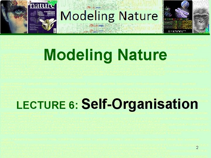 Modeling Nature LECTURE 6: Self-Organisation 2 