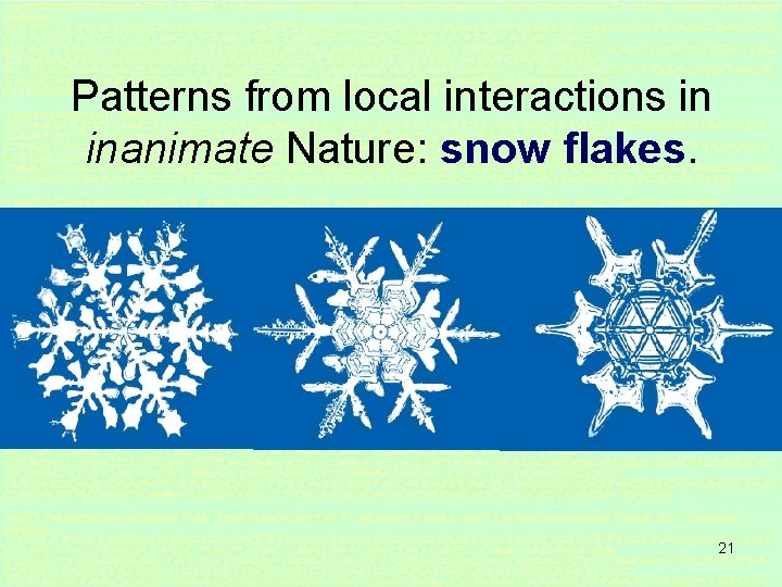 Patterns from local interactions in inanimate Nature: snow flakes. 21 