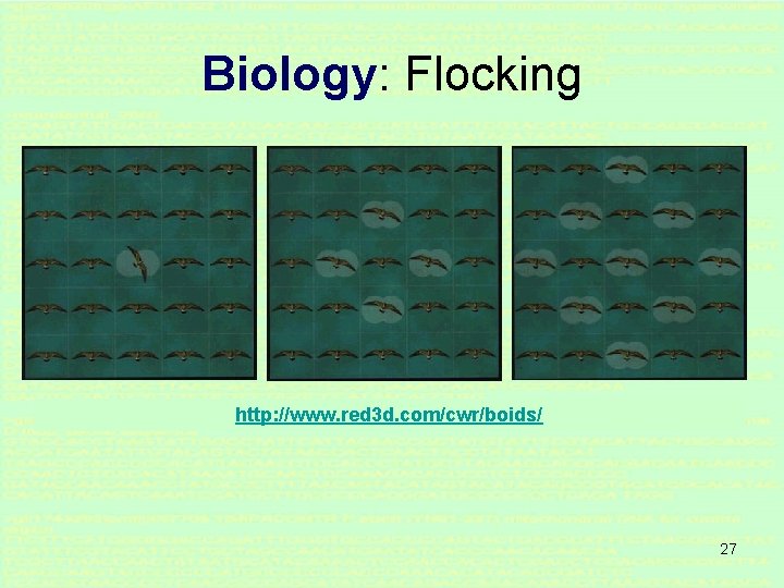 Biology: Flocking http: //www. red 3 d. com/cwr/boids/ 27 