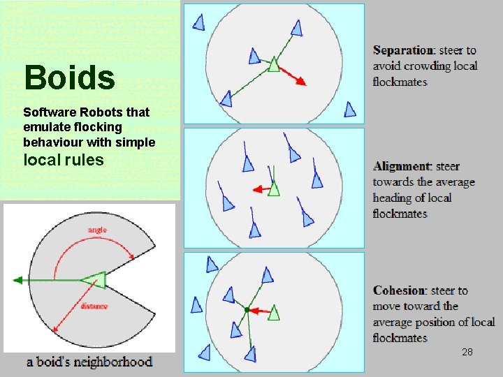 Boids Software Robots that emulate flocking behaviour with simple local rules 28 