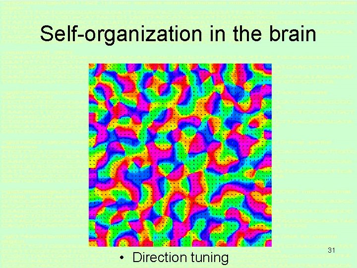 Self-organization in the brain • Direction tuning 31 