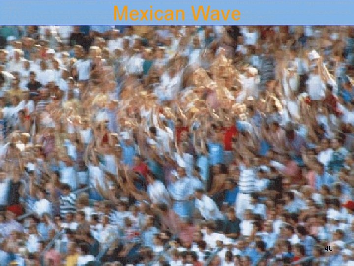 Mexican Wave 40 