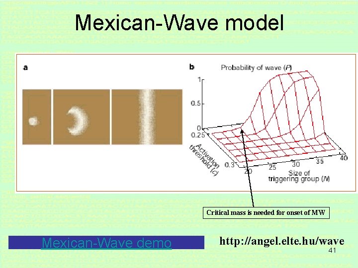 Mexican-Wave model Critical mass is needed for onset of MW Mexican-Wave demo http: //angel.