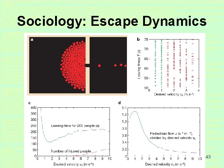 Sociology: Escape Dynamics 43 