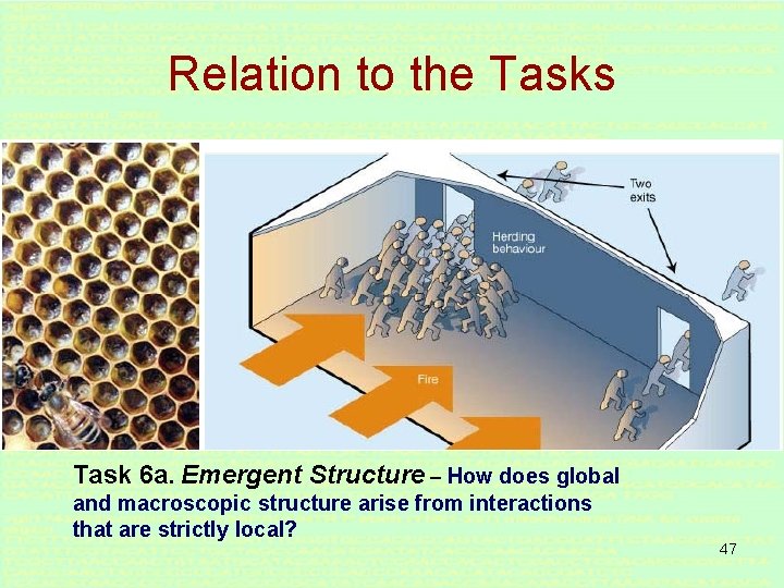 Relation to the Tasks Task 6 a. Emergent Structure – How does global and