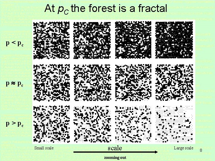 At p. C the forest is a fractal p < pc p > pc