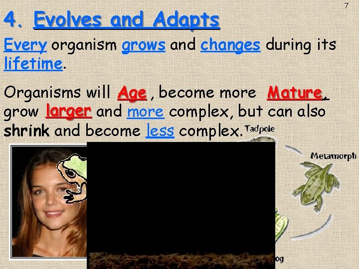 4. Evolves and Adapts Every organism grows and changes during its lifetime. Organisms will