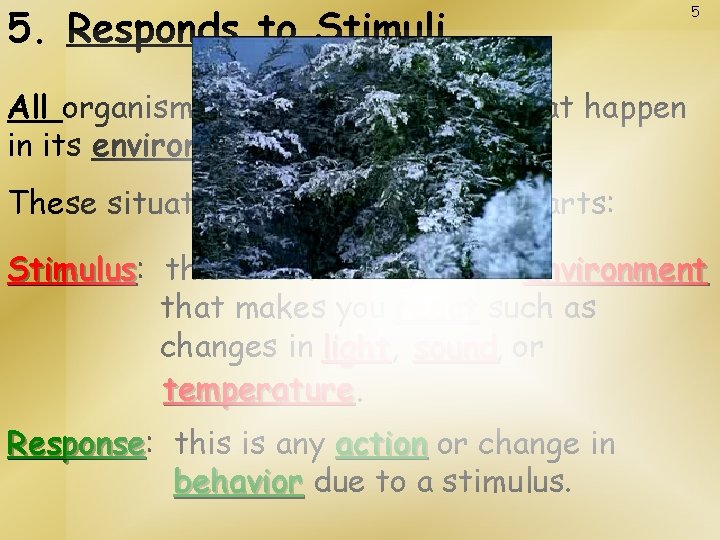 5. Responds to Stimuli 5 All organisms will react to things that happen in