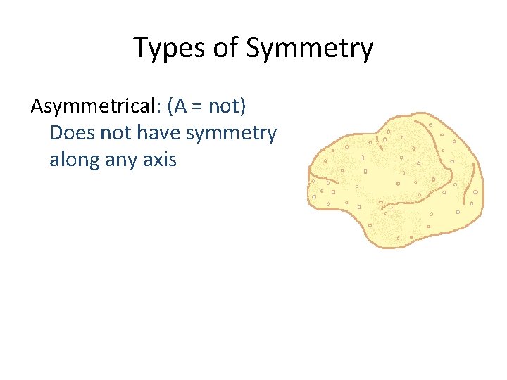 Types of Symmetry Asymmetrical: (A = not) Does not have symmetry along any axis