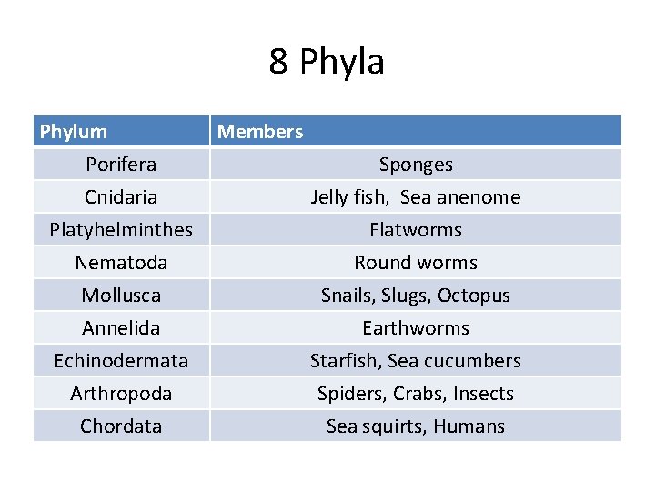 8 Phyla Phylum Porifera Cnidaria Platyhelminthes Nematoda Mollusca Annelida Echinodermata Arthropoda Chordata Members Sponges
