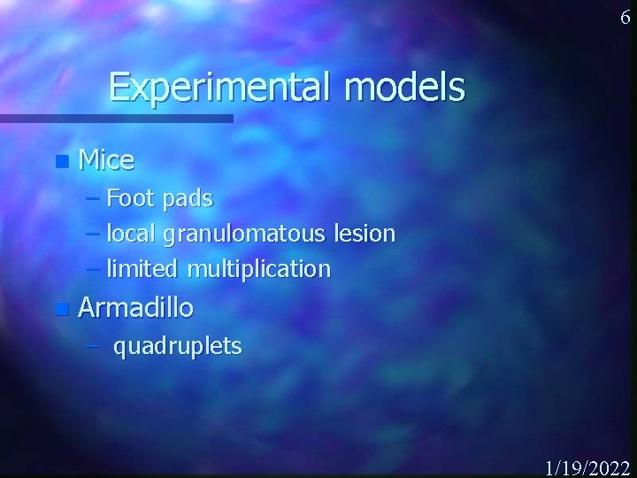 6 Experimental models n Mice – Foot pads – local granulomatous lesion – limited