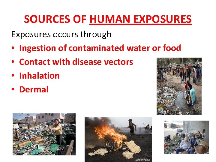 SOURCES OF HUMAN EXPOSURES Exposures occurs through • Ingestion of contaminated water or food
