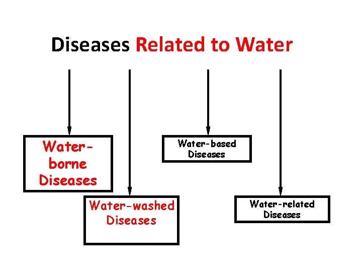 Diseases Related to Waterborne Diseases Water-washed Diseases Water-based Diseases Water-related Diseases 