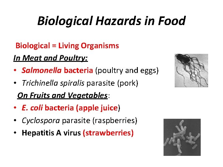 Biological Hazards in Food Biological = Living Organisms In Meat and Poultry: • Salmonella