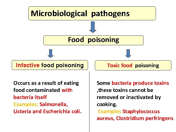 Microbiological pathogens Food poisoning Infective food poisoning Occurs as a result of eating food