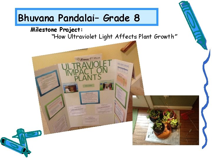 Bhuvana Pandalai– Grade 8 Milestone Project: “How Ultraviolet Light Affects Plant Growth” 