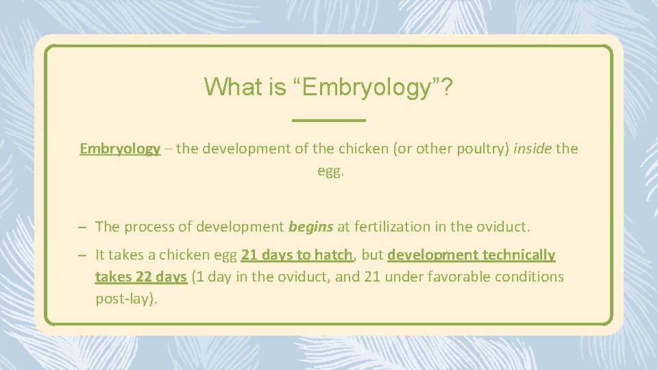 What is “Embryology”? Embryology – the development of the chicken (or other poultry) inside