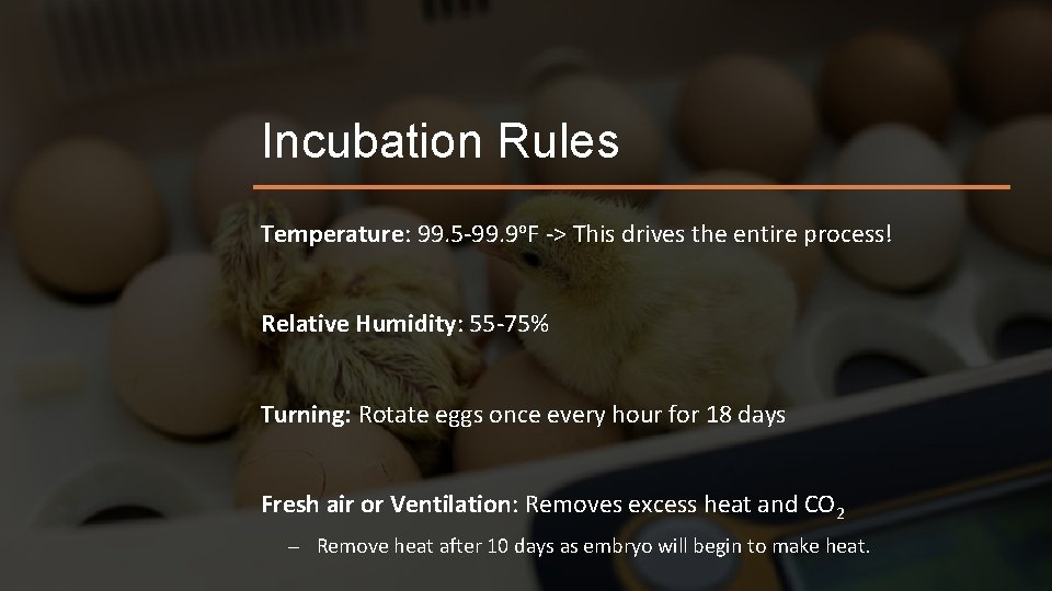 Incubation Rules Temperature: 99. 5 -99. 9 o. F -> This drives the entire