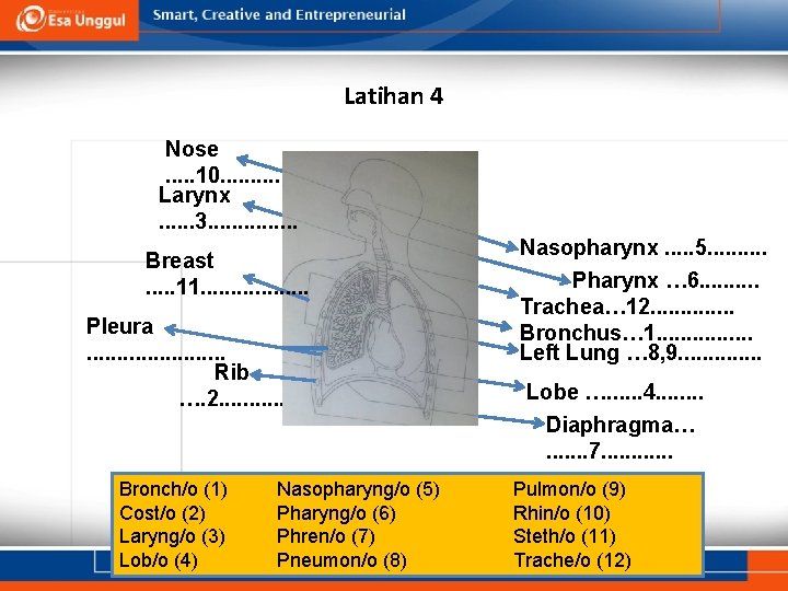 Latihan 4 Nose. . . 10. . . . Larynx. . . 3. .