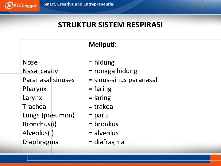 STRUKTUR SISTEM RESPIRASI Meliputi: Nose Nasal cavity Paranasal sinuses Pharynx Larynx Trachea Lungs (pneumon)