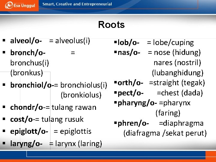 Roots § alveol/o- = alveolus(i) § bronch/o= bronchus(i) (bronkus) § bronchiol/o-= bronchiolus(i) (bronkiolus) §