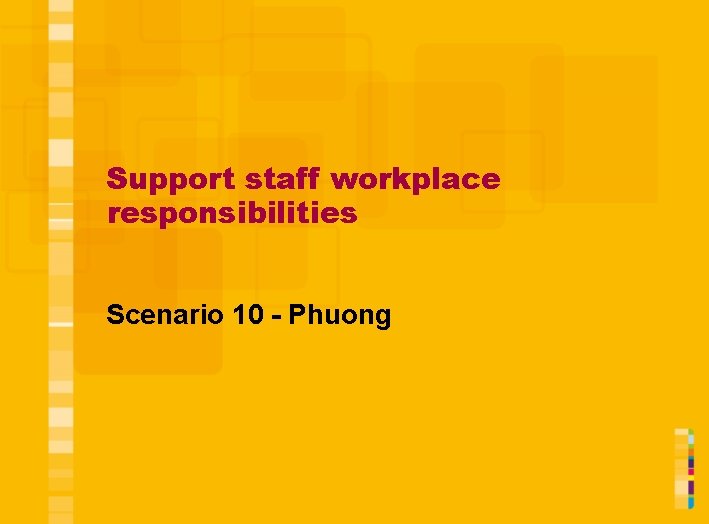Support staff workplace responsibilities Scenario 10 - Phuong 