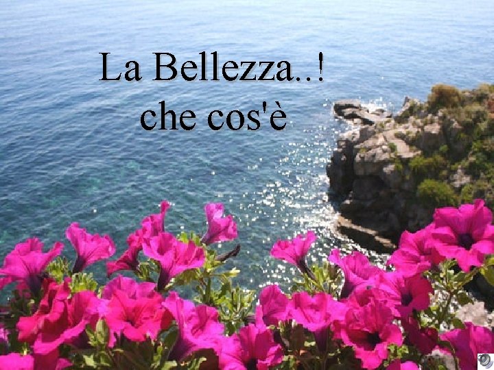 La Bellezza. . ! che cos'è 