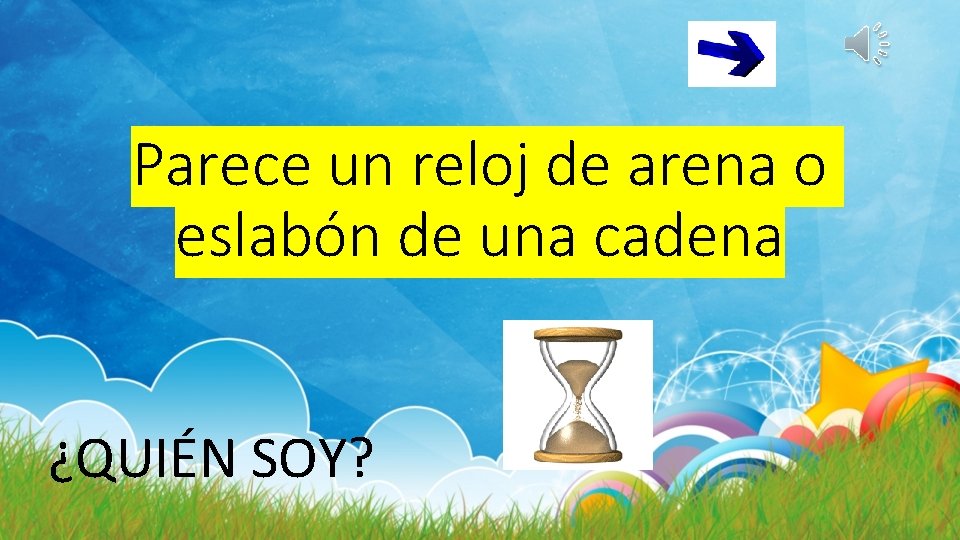 Parece un reloj de arena o eslabón de una cadena ¿QUIÉN SOY? 